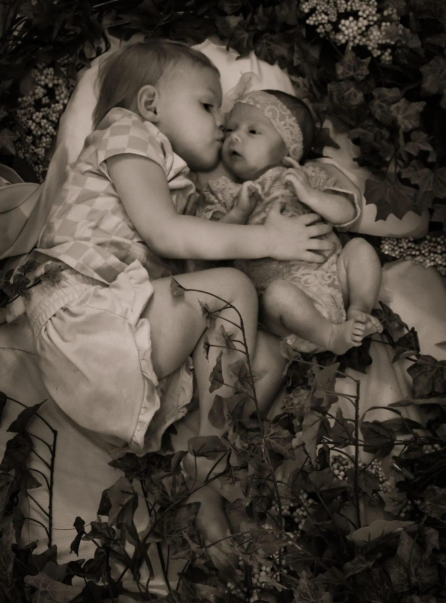 Newborn
